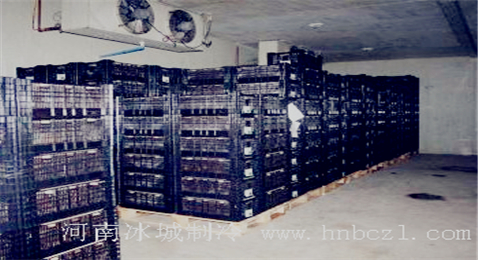 保鮮冷庫施工現(xiàn)場(chǎng)